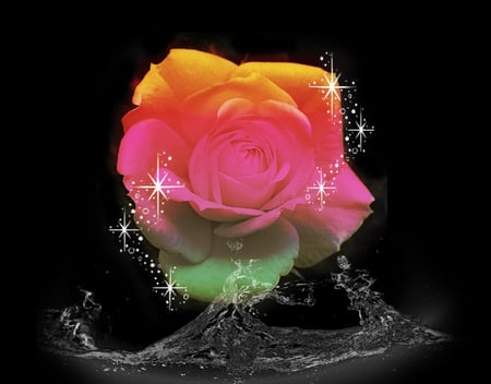 Amazing Rose For You - rose, beauty, sparkles, waters, splash, flower