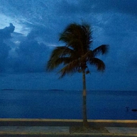 the view from McDonald in Key West