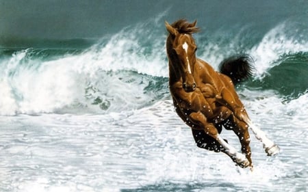 horse - water, running, sea, horse, wild, animals