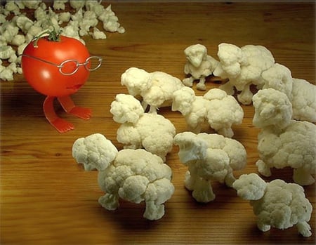 Funny Vegetables - vegetables, picture, cool, funny