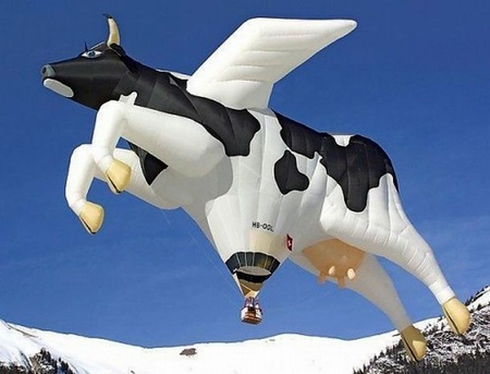 Cow-Hot-Air-Balloon - picture, cow, hot-air, funny, balloon