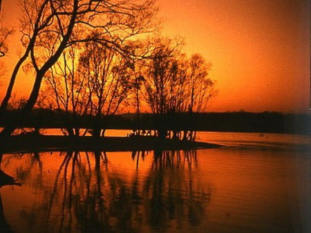 Summer burn - lake, reflections, gold, orange, trees, sunset