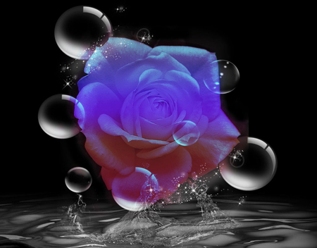 Night Eyes Rose - glow, night, water, romance, flowers, bubbles, rose, splash