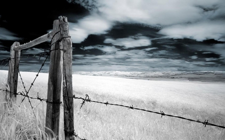 Landscape - landscape, barbed wire, fence, dark