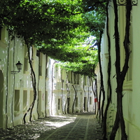 Spanish houses in Jerez de la Frontera, Spain 