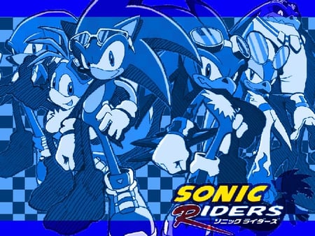 were the top riders in this game - blue hedgehog, sonic riders, sonic and friends, sonic