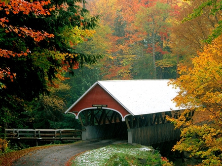 Bridge to Nature - autumn, state, flume, park, road, notch, wood, hampshire, forest, covered, franconia, classic, bridge, new