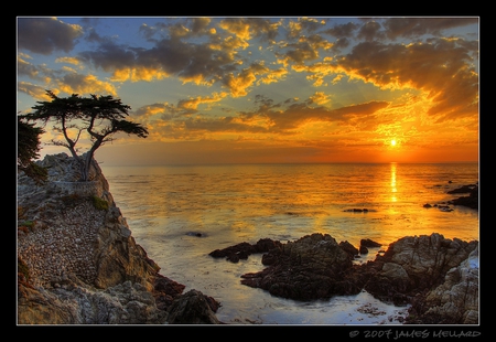 Sunset at the lone Cypress - nature, cypress, sunset, sea