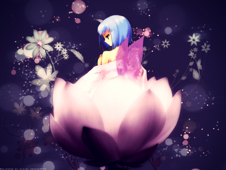 Anime cutie - flower, fairy, cute, purple wings