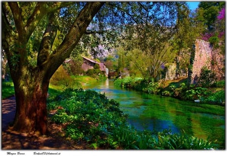 Ninfa garden - water, ninfa garden, latina, italia