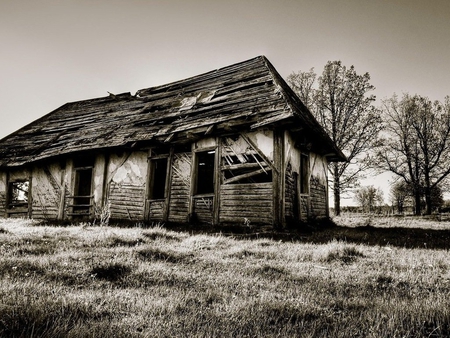 Old cottage - black and white, nature, tree, cottage