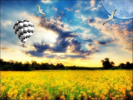 Summer time - balloon, cloud, field, yellow