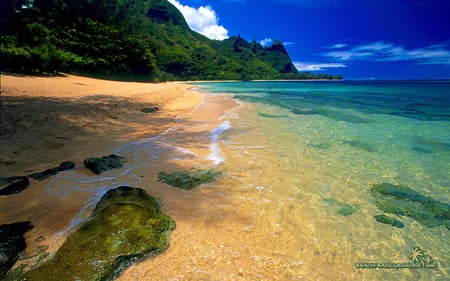 Beautiful Beach - hill, clouds, water, blue, beach, ocean, forest, sand, tree, green, sky