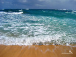 Windy Day Over the Ocean