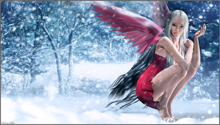 Red_Fairy - fairy, fantasy, feather, winter