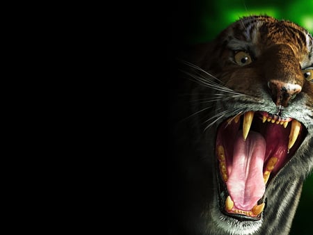 Tiger wallpaper - teeth, predator, animal, wallpaper, tiger