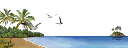 sea sides - beach, sea, birds, island