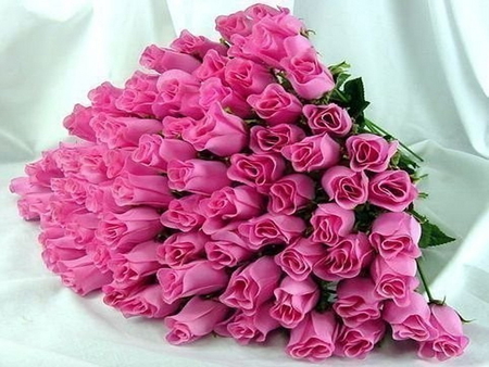 Roses for beautiful people - many, roses, gren, pink