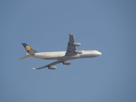 Airbus A340 Lufthansa - aircraft, airbus, airplane, airliner