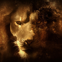 Half the king