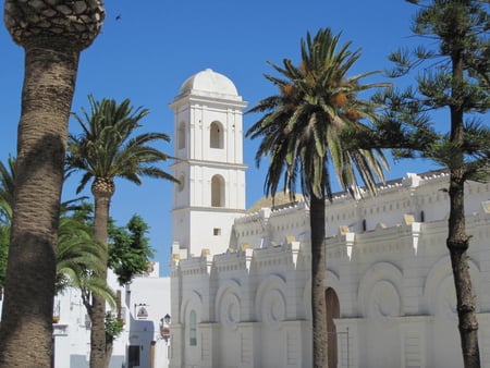 Church in Sancti Petri, Spain - trees, blue, tower, beautiful, church, white, spain, sky, palmtree