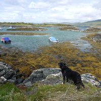 Ulva Ferry