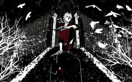 artistic anime - drawing, black, white, catoon, man, red, anime, manga, birds