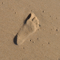 Footprint In The Sand