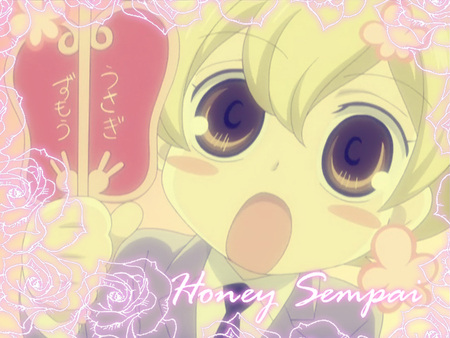 it's Honey Sampai! - honey sampai, ouran host club, ouran club, honey