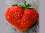 I love strawberries