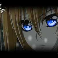 vampire knight rima toya