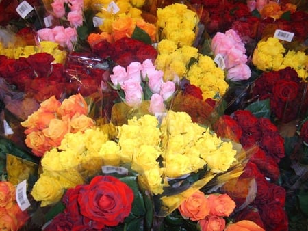 Mixed Flowers - flowers, roses, colorful, nature, yellow, red, mixed