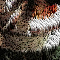 I am the forest