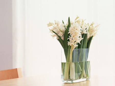 White Bouquet - flowers, white, beatiful, bouquet