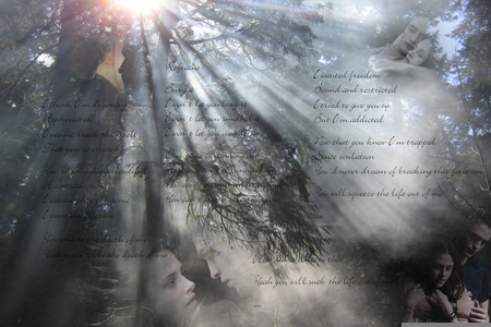 twilight - forest, beauty, actress, dark, actor, bright, light, poem, movie, trees, vampire, twilight, sunshine