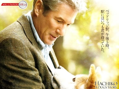 A touching story - forever, smart, sunshine, dog, entertainment, touching, movies, hero, favorite