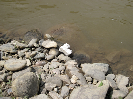 River side - nature, mc, photography, river, river side