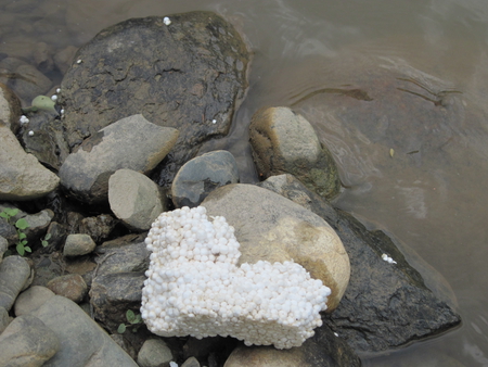 Heart & rocks - heart, photography, mc, river side, stones