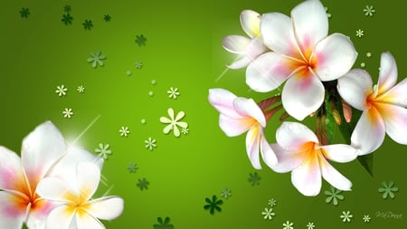 Plumeria Dreams - flowers, abstract, green summer, blossoms, plumeria, firefox persona, shine