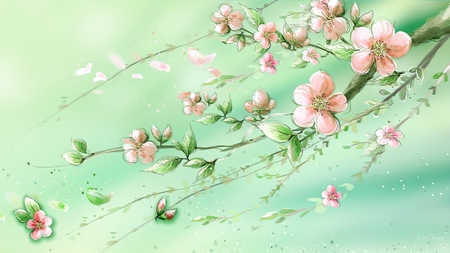 Sakura Soft - blooms, summer, wind, spring, sakura, petals, green, flowers, firefox persona, cherry blossoms