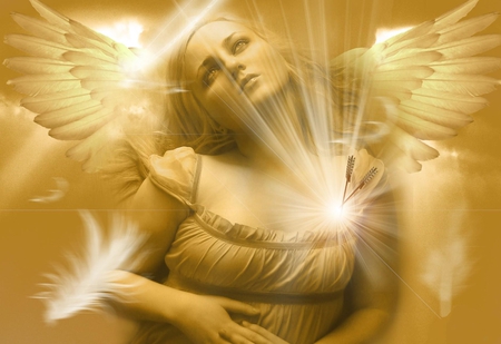 Angels Pain - hurt, angel, dove, wings, fantasy, abstract, yellow, pain, angels