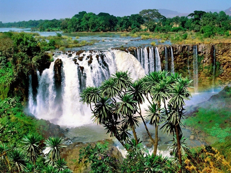 african falls - africa, waterfalls, forest, nature