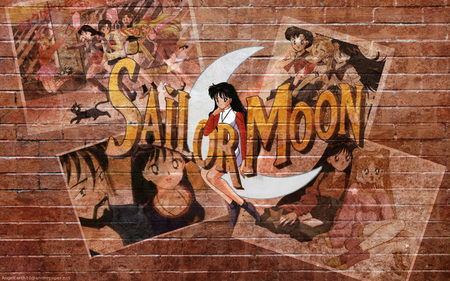 Life of Sailor Mars - rei hino, rei, sailor mars, anime, sailor moon, manga