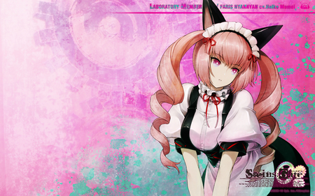 Faris Nyannyan - anime, anime waitress, steins gate, animal ears, beautifu girl, cute, anime pink hair, faris nyannyan