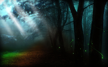 The magic forest - art, forest, magic, wallpaper, fantasy