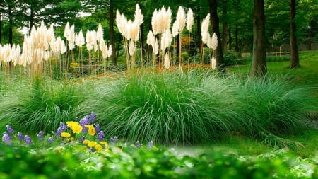 Pompous Grass Summer - wild flowers, trees, forest, pompous grass, summer, field, grass