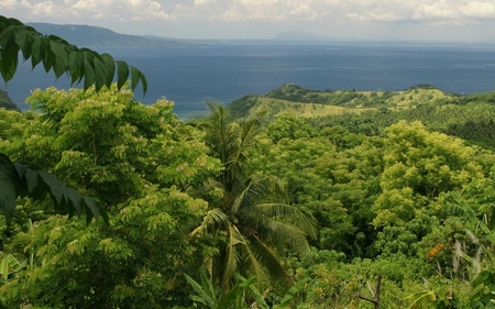 Wide View - clouds, trees, water, blue, ocean, forest, leaves, nature, green, day, sky