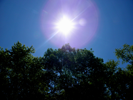 Sunshine above the trees - sky, lake, trees, landscape, summer, nature, forest, green, leaves, pond