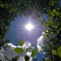 Sky surrounded by trees and clouds2