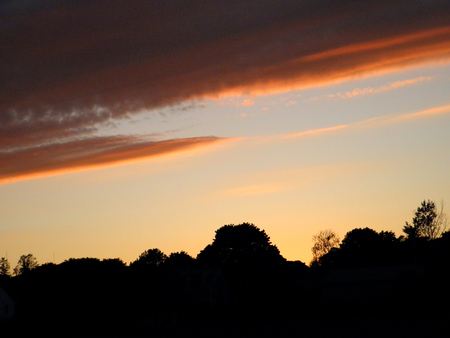 Another sunset - sky, trees, sun, clouds, tree, sunset